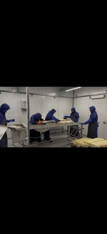 Рыболовецкие хозяйства повышают эффективность природопользования: МУП «Булунское» открыло новый модульный цех по заморозке рыбы Рыболовецкие хозяйства повышают эффективность природопользования: МУП «Булунское» открыло новый модульный цех по заморозке рыбы