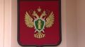 Смертельное ДТП и мошенничество
