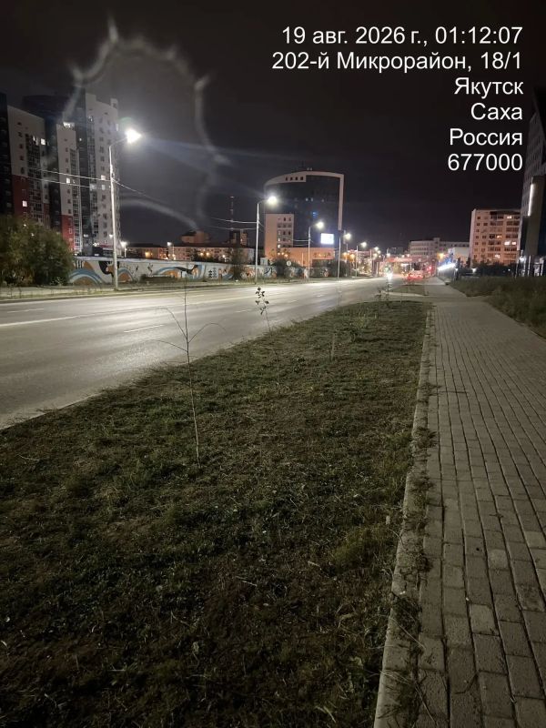 В Губинском округе, заботясь о благоустройстве и безопасности своих жителей, подрядная организация ведет активные работы по покосу травы В Губинском округе, заботясь о благоустройстве и безопасности своих жителей, подрядная организация ведет активные работы по покосу травы
