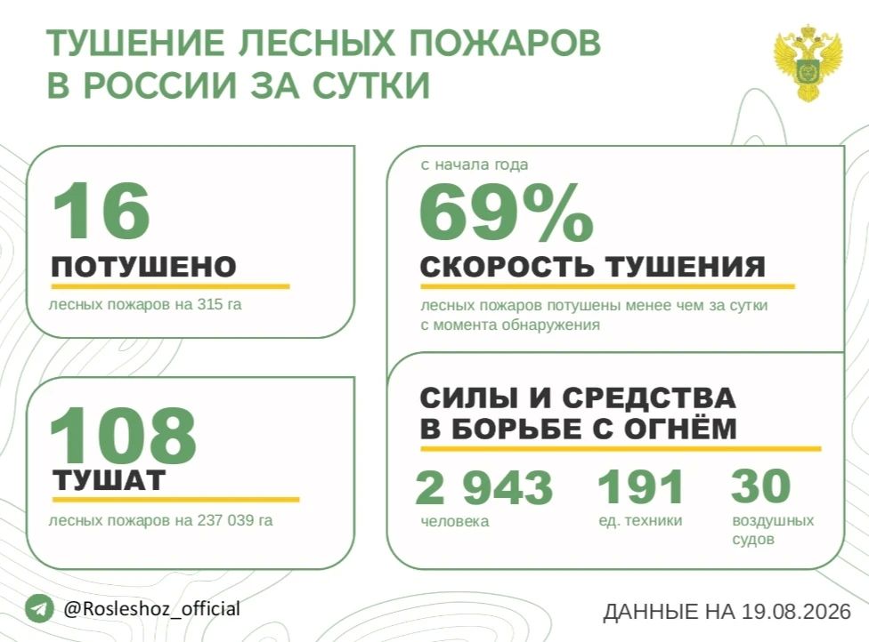 За прошедшие сутки в 9 регионах России потушили 16 лесных пожаров