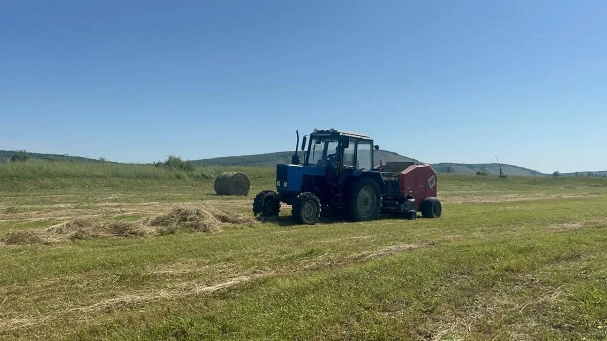Проект «Сир Ийэ» восстанавливает сельхозземли, улучшает качество кормов и повышает удои в Чурапчинском улусе Проект «Сир Ийэ» восстанавливает сельхозземли, улучшает качество кормов и повышает удои в Чурапчинском улусе