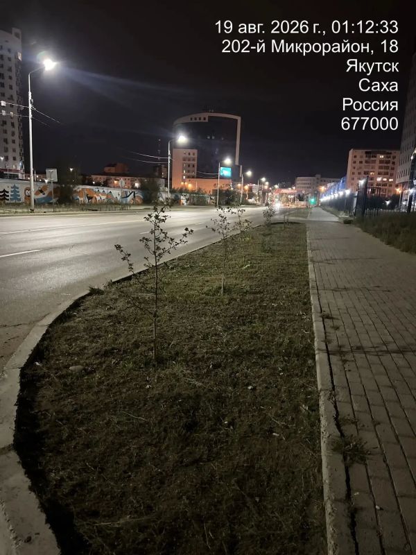 В Губинском округе, заботясь о благоустройстве и безопасности своих жителей, подрядная организация ведет активные работы по покосу травы В Губинском округе, заботясь о благоустройстве и безопасности своих жителей, подрядная организация ведет активные работы по покосу травы
