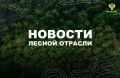 Мой Алтай: Иван Советников: леса — наш щит в борьбе с опустыниванием