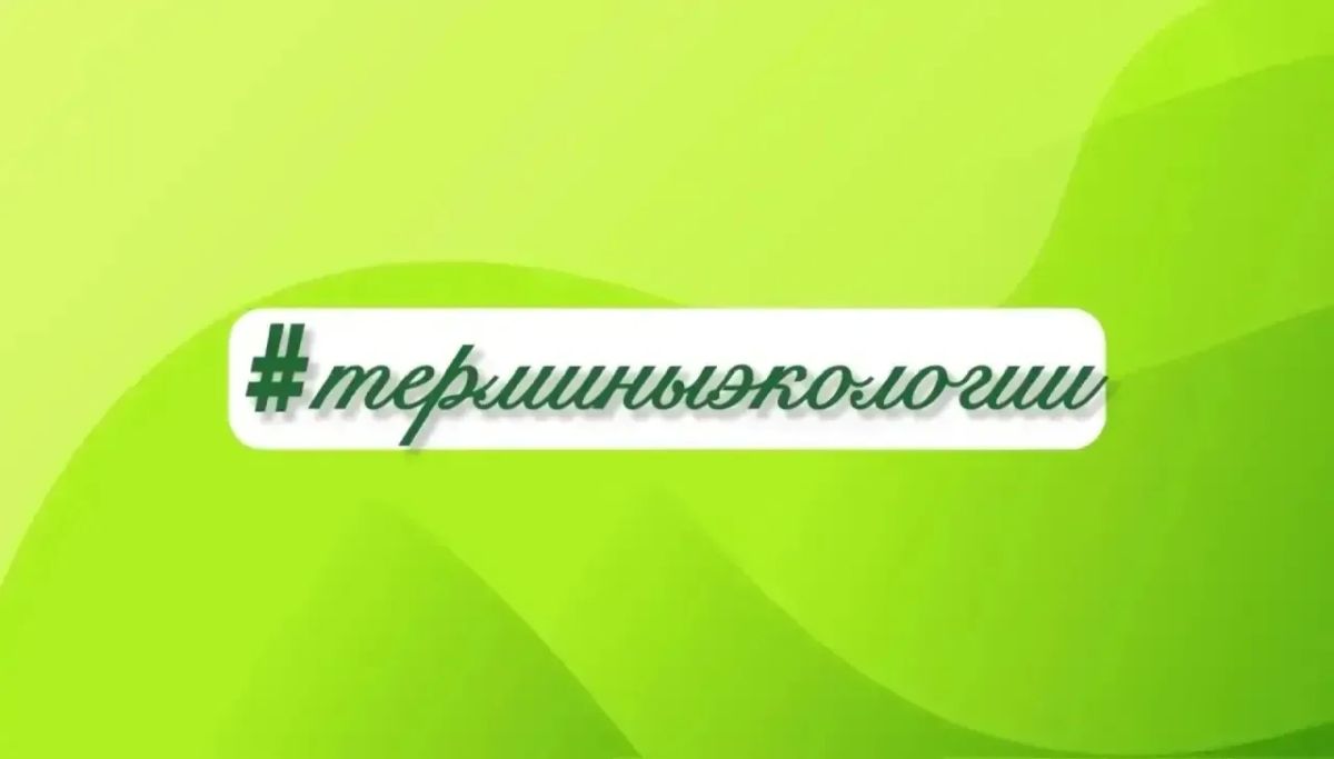 Вас приветствует рубрика #терминыэкологии
