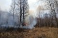 Лесной пожар в Верхневилюйском районе локализован на площади 219 гектаров