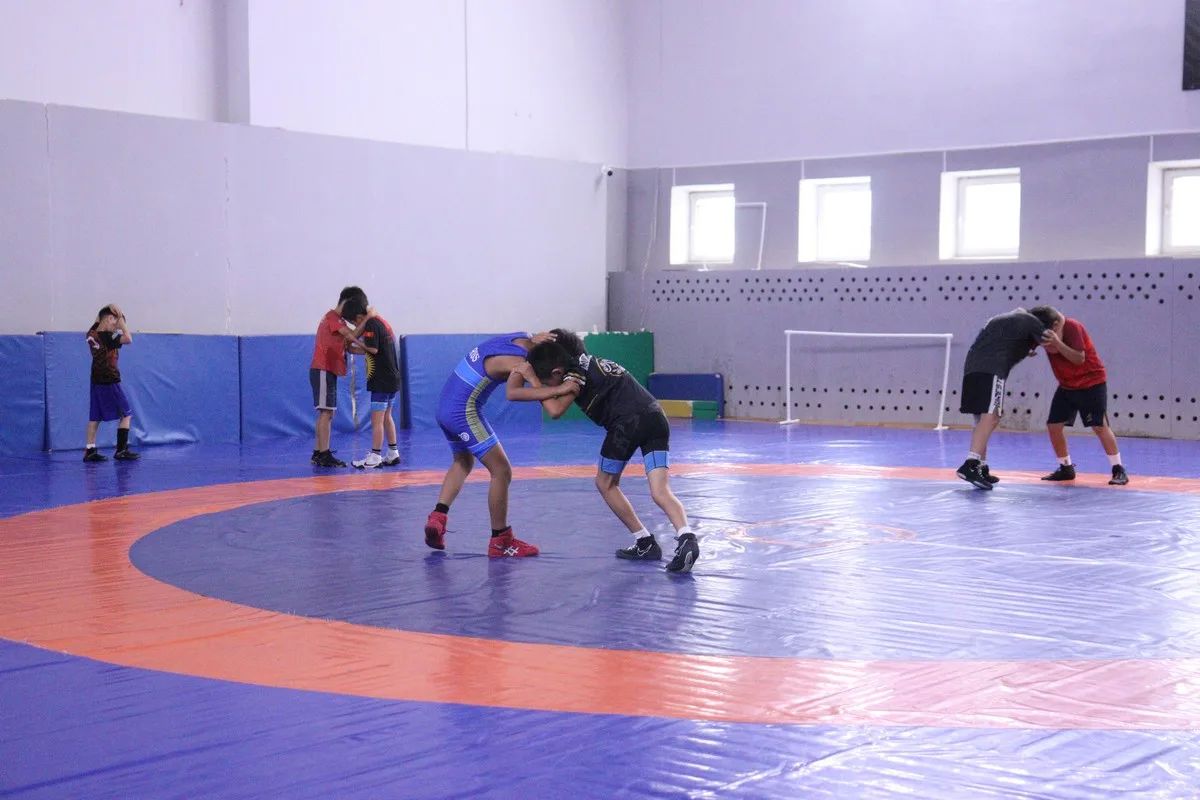 Национальные виды спорта планируют внедрить в школы Якутии
