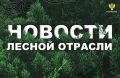 Московский комсомолец: В Карелии усилили противопожарную защиту лесного фонда