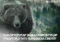 Тыа ортотугар ээни крс тэр тбэлтээ тугу гыныахха сбй?