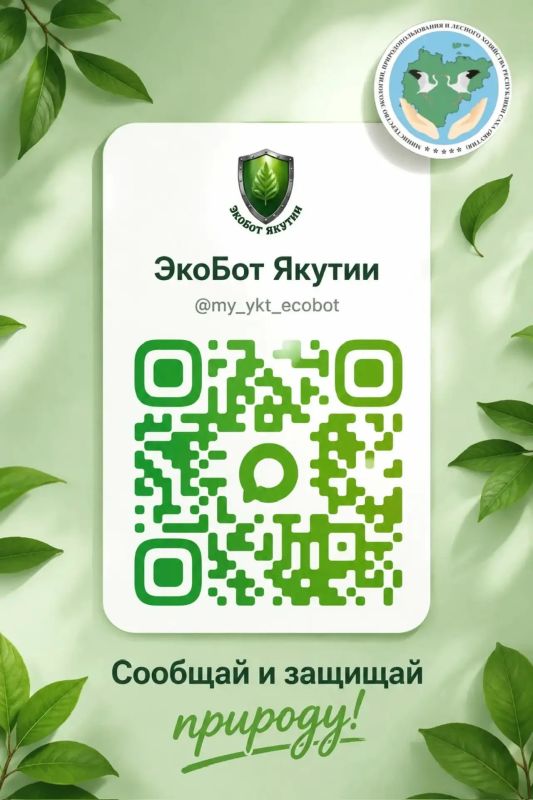 Чат-бот «Экобот Якутии» в мессенджере МАКС для оперативного приема сигналов об экологических инцидентах:
