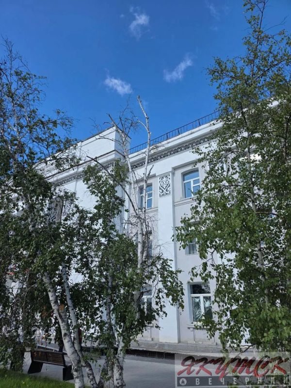 #подписчикЯВ. В центре Якутска культ сухих берез? В самом сердце города Якутска вот уже несколько лет стоят полностью засохшие и суховершинные березы, украшающие Дом правительства №1 и перекресток проспект Ленина — улица... #подписчикЯВ. В центре Якутска культ сухих берез? В самом сердце города Якутска вот уже несколько лет стоят полностью засохшие и суховершинные березы, украшающие Дом правительства №1 и перекресток проспект Ленина — улица...