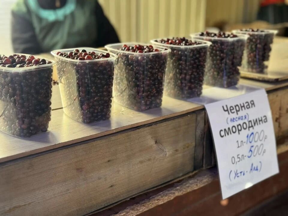 Дьокуускайга сир аын т атыылаыахха сбй? Дьокуускайга сир аын т атыылаыахха сбй?