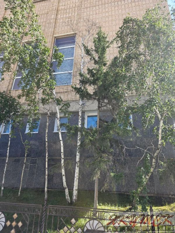 #подписчикЯВ. В центре Якутска культ сухих берез? В самом сердце города Якутска вот уже несколько лет стоят полностью засохшие и суховершинные березы, украшающие Дом правительства №1 и перекресток проспект Ленина — улица... #подписчикЯВ. В центре Якутска культ сухих берез? В самом сердце города Якутска вот уже несколько лет стоят полностью засохшие и суховершинные березы, украшающие Дом правительства №1 и перекресток проспект Ленина — улица...