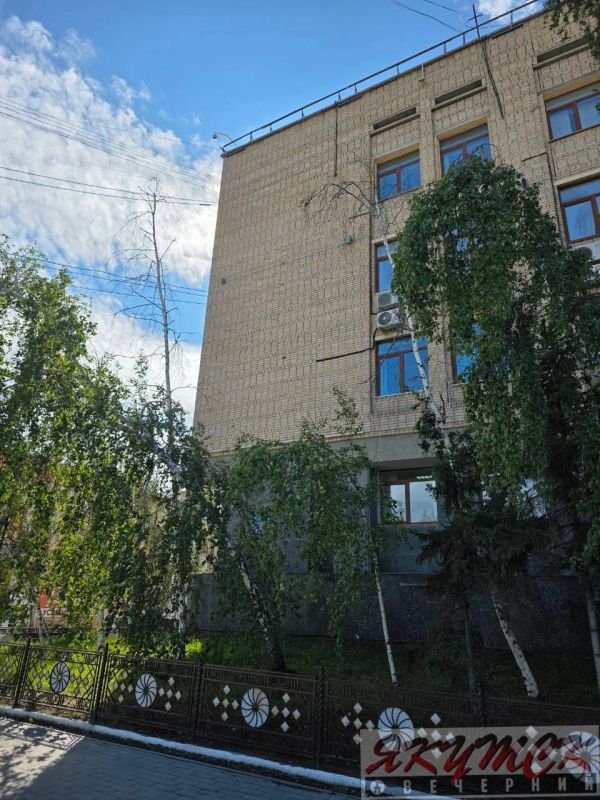 #подписчикЯВ. В центре Якутска культ сухих берез? В самом сердце города Якутска вот уже несколько лет стоят полностью засохшие и суховершинные березы, украшающие Дом правительства №1 и перекресток проспект Ленина — улица... #подписчикЯВ. В центре Якутска культ сухих берез? В самом сердце города Якутска вот уже несколько лет стоят полностью засохшие и суховершинные березы, украшающие Дом правительства №1 и перекресток проспект Ленина — улица...