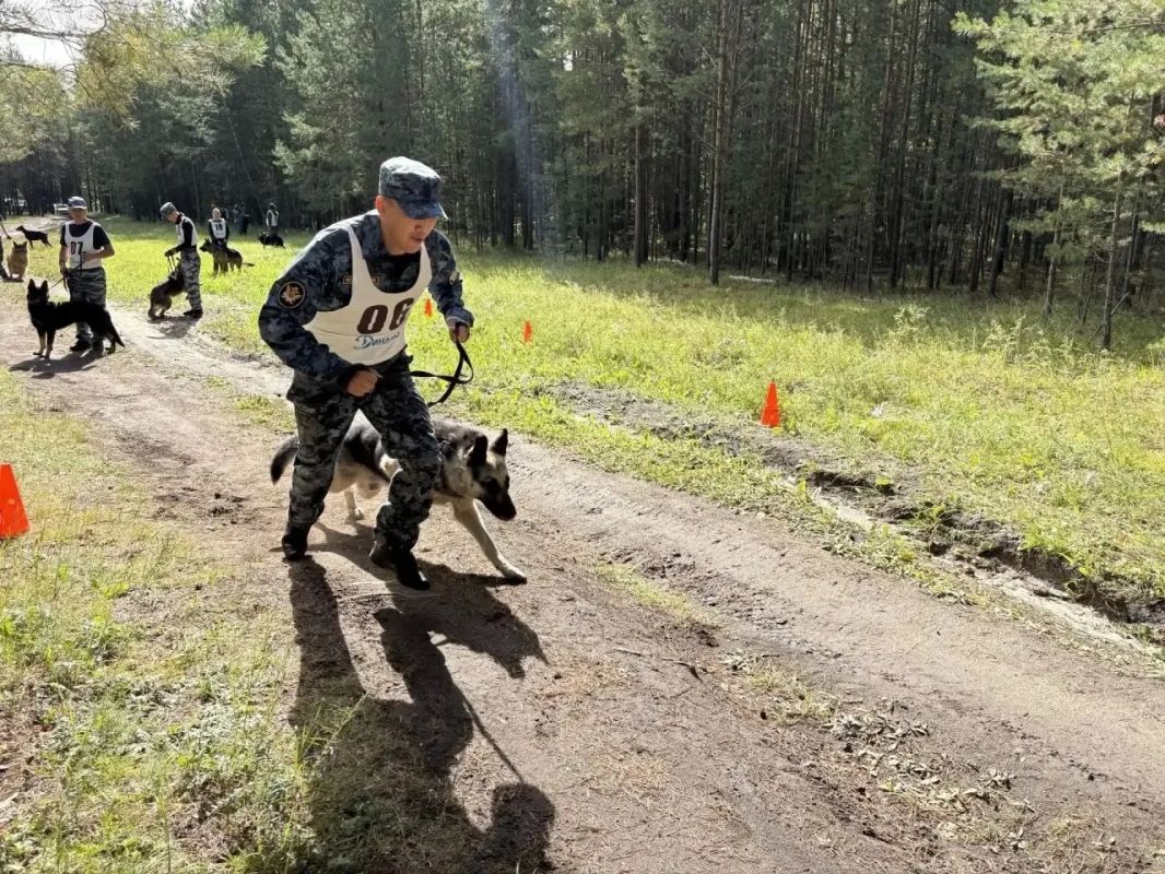 В Якутске впервые состоялся Кубок по многоборью среди кинологов правоохранительных органов В Якутске впервые состоялся Кубок по многоборью среди кинологов правоохранительных органов