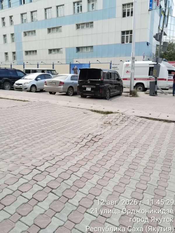 Выкорчёвка пней на Короленко Выкорчёвка пней на Короленко