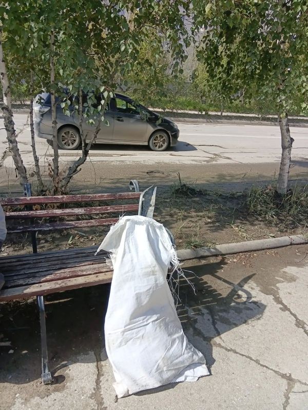 Важно помнить, что чистота – это не только заслуга дворников, но и ответственность каждого из нас Важно помнить, что чистота – это не только заслуга дворников, но и ответственность каждого из нас
