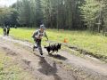 Четвероногие напарники вывели кинологов на старт