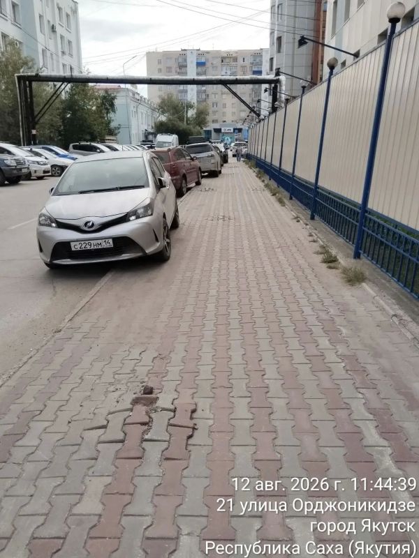 Выкорчёвка пней на Короленко Выкорчёвка пней на Короленко