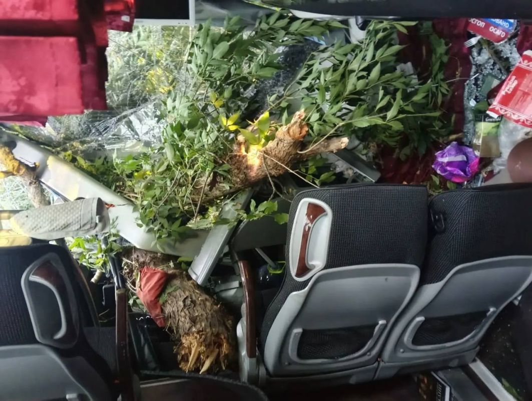 В ЛНР перевернулся автобус - пострадали семь человек В ЛНР перевернулся автобус - пострадали семь человек