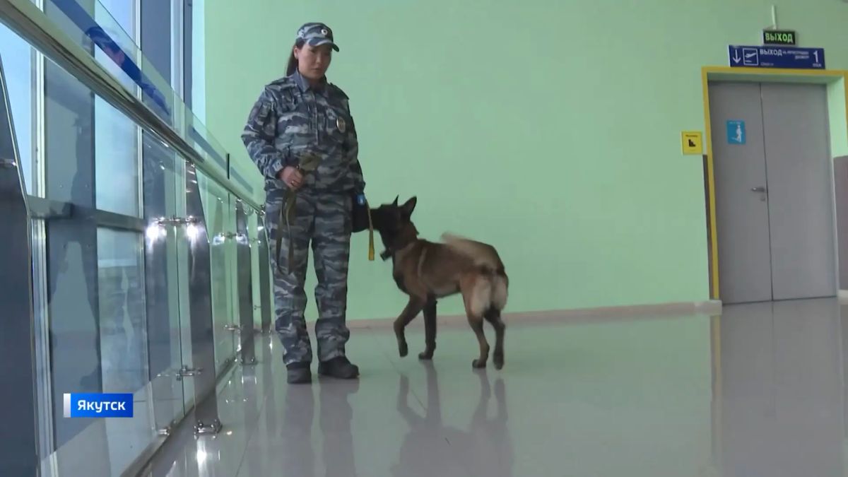 В Якутске впервые прошел Кубок ЯРО "Динамо" по многоборью среди сотрудников правоохранительных органов, посвященный памяти сотрудницы Центра кинологической службы МВД по Республике Саха (Якутия), старшего лейтенанта полиции...