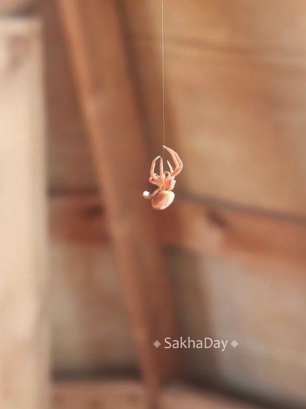 Подписчики @sakhaday показывают своих дачных друзей Подписчики @sakhaday показывают своих дачных друзей