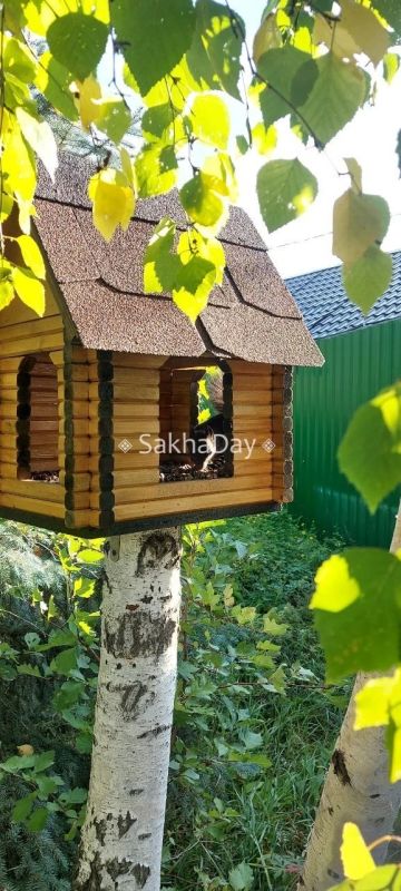 Подписчики Подписчики