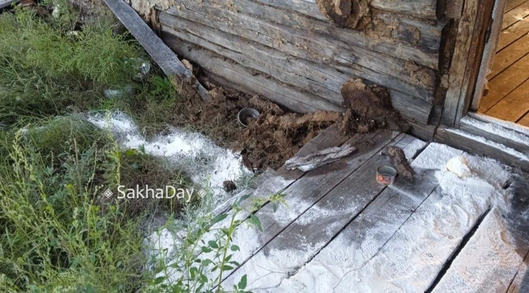 В Амгинском улусе медведь обокрал проповедника