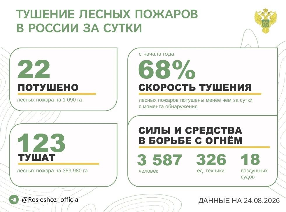 За прошедшие сутки в 11 регионах России потушили 22 лесных пожара