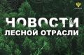 AK&M: Рослесхоз: лесные участки площадью 1,2 тыс