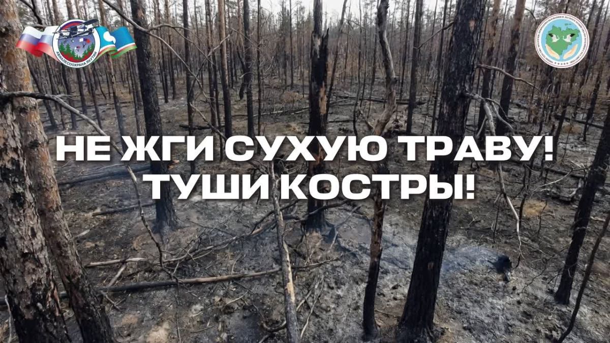 Всегда будь осторожен с огнем в лесу!