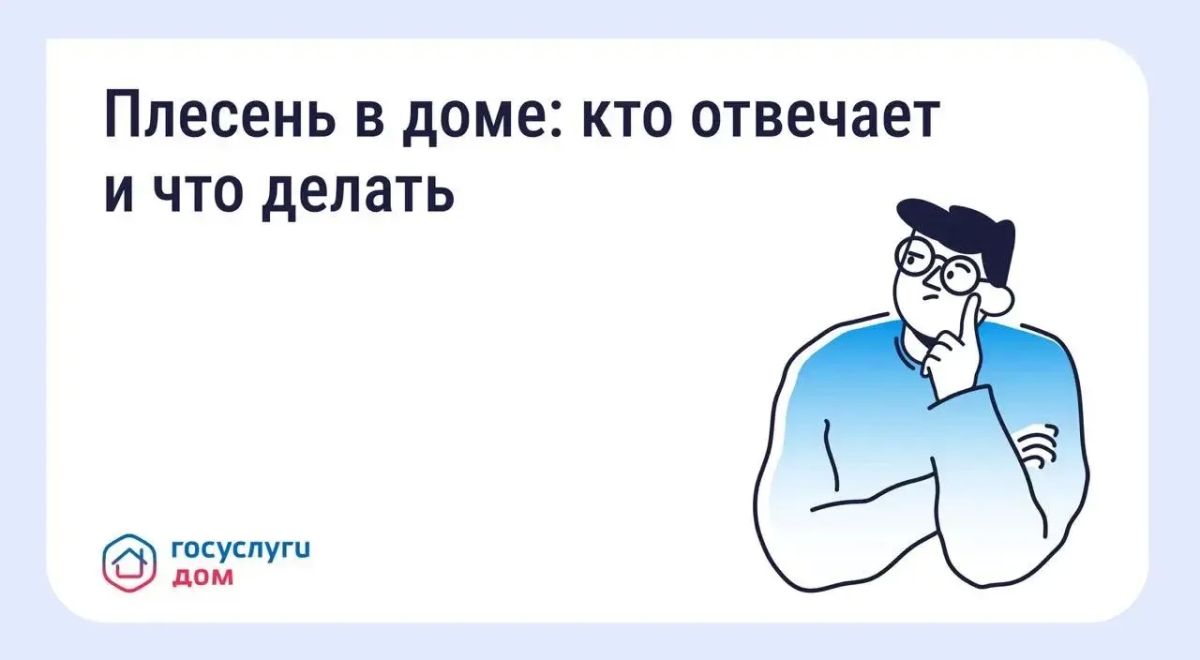 Что делать, если в квартире появилась плесень