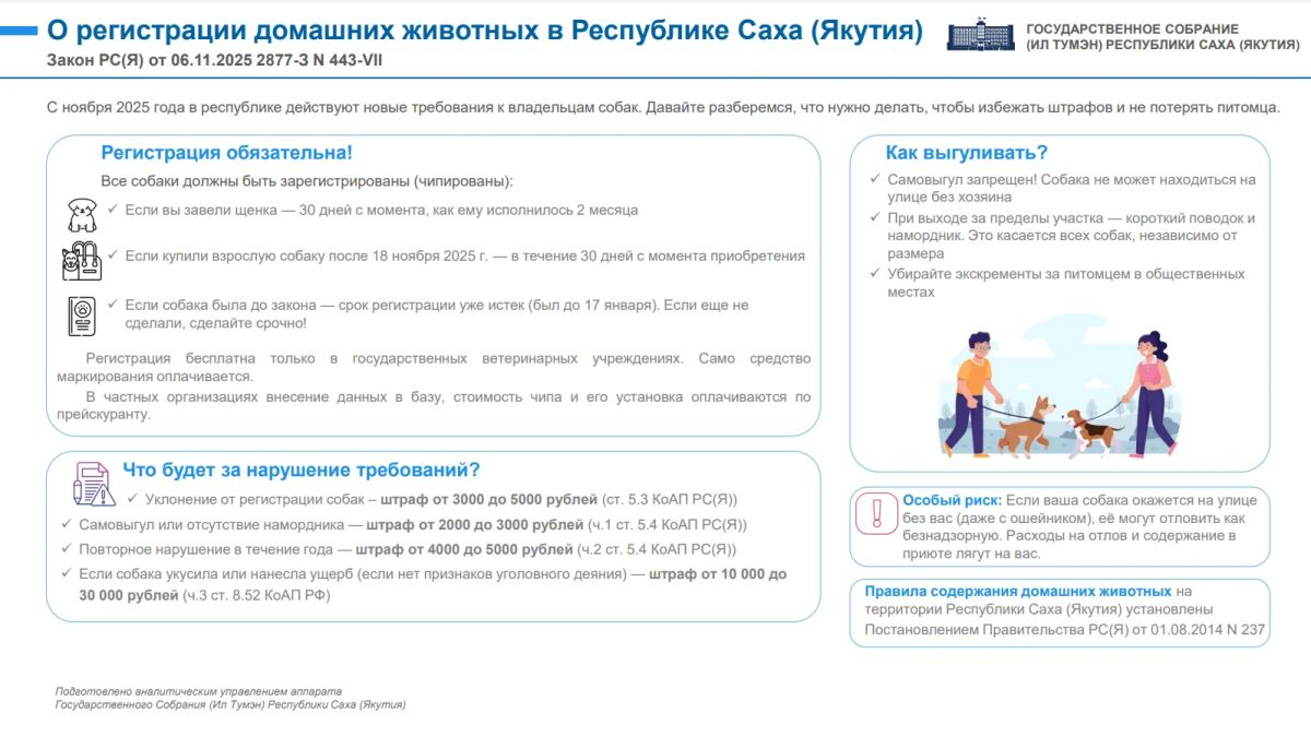 Новый закон о регистрации собак в Якутии: что нужно знать владельцам?