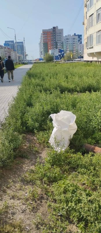 Наши муниципальные дворники ежедневно трудятся на общественных пространствах и детских площадках, убирая мусор Наши муниципальные дворники ежедневно трудятся на общественных пространствах и детских площадках, убирая мусор