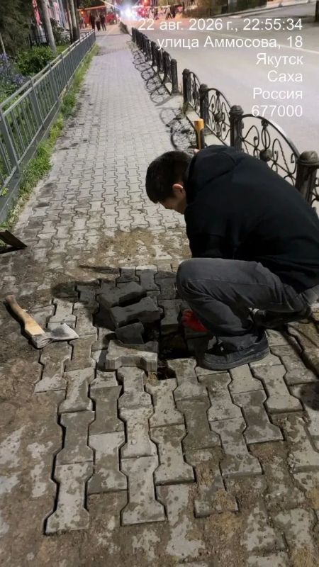 Выкорчёвка пней на Аммосова Выкорчёвка пней на Аммосова
