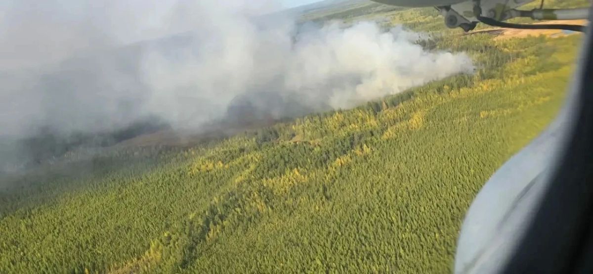 В Хангаласском улусе тушат лесной пожар, возникший по вине человека