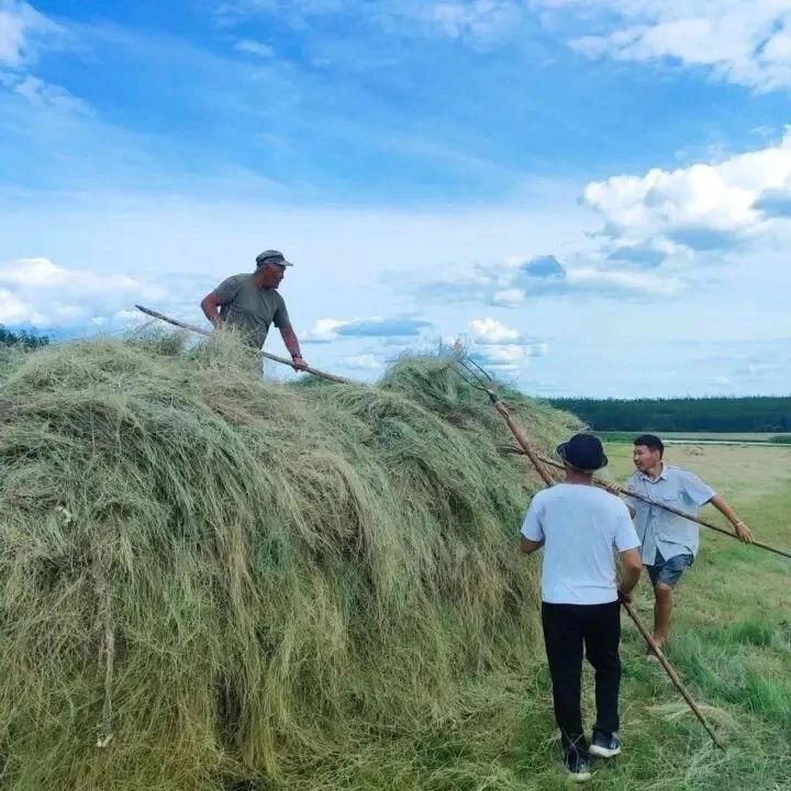 Эмсээлээбит улуустар мобильнай отчуттарыгар 66 млйннээх км сайаапкалаабыттар
