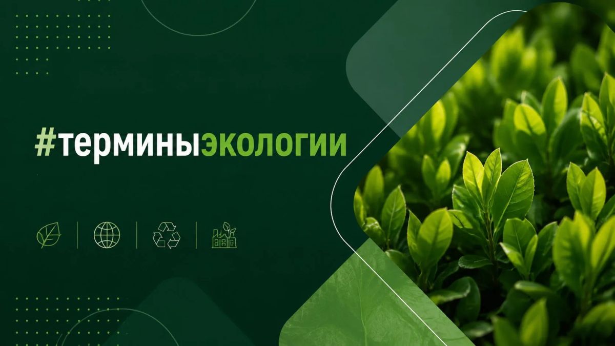 Вас приветствует рубрика #терминыэкологии