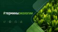 Вас приветствует рубрика #терминыэкологии