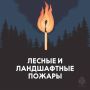 В четырех районах Якутии сохраняется высокая пожароопасность леса