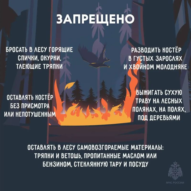 В четырех районах Якутии сохраняется высокая пожароопасность леса В четырех районах Якутии сохраняется высокая пожароопасность леса