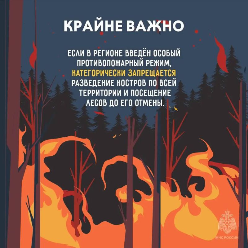 В четырех районах Якутии сохраняется высокая пожароопасность леса В четырех районах Якутии сохраняется высокая пожароопасность леса