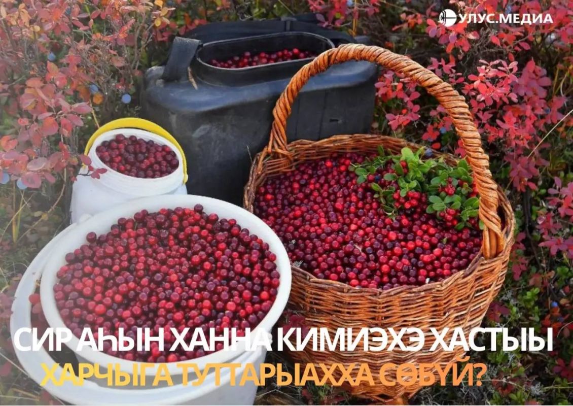 Сир аын ханна кимиэхэ хастыы харчыга туттарыахха сбй?