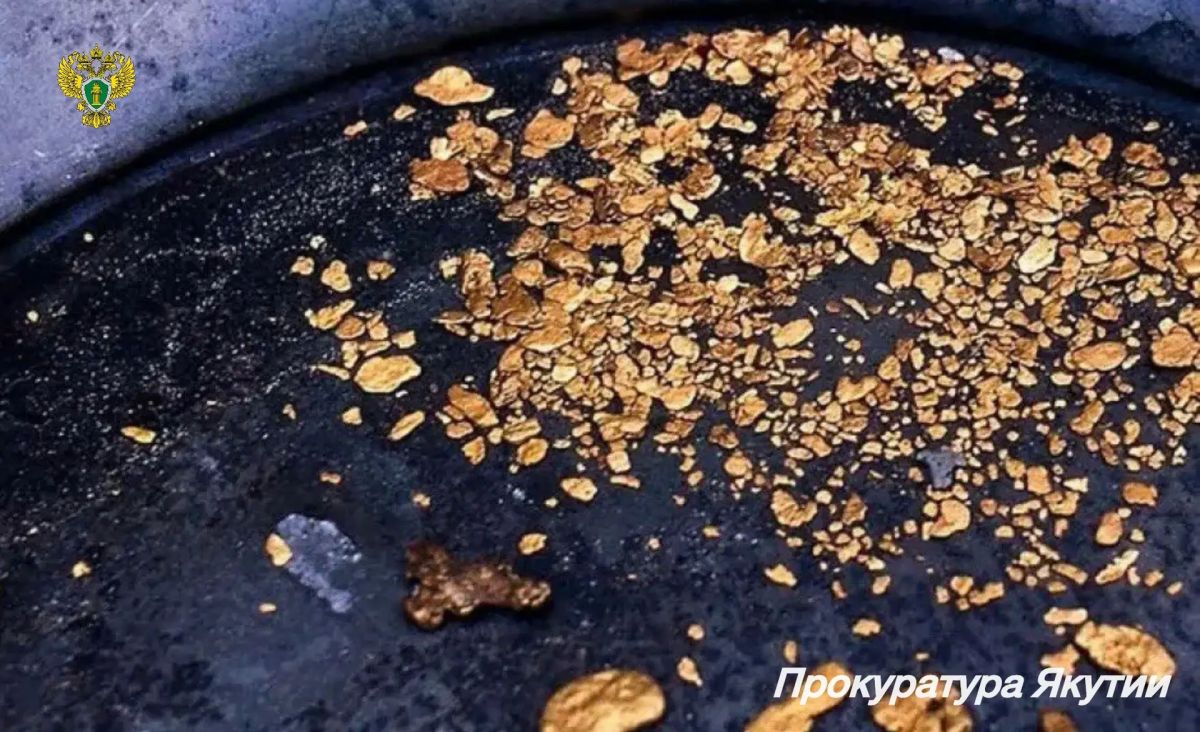 В Алданском районе суд по искам прокурора обратил в доход государства драгоценные металлы