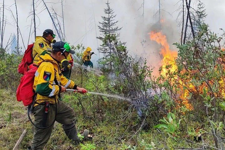 В Якутии почти 600 человек борются с лесными пожарами