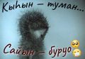 #отподписчика. Зимой — туман