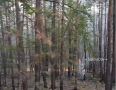 Ликвидирован лесной пожар недалеко от Якутска