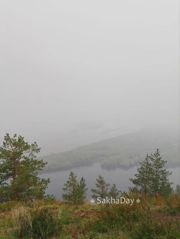 #пишут Кангаласский мыс... Всё в дыму. Зато впервые увидели в конце августа подснежник #дляsakhaday #пишут Кангаласский мыс... Всё в дыму. Зато впервые увидели в конце августа подснежник #дляsakhaday