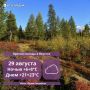 На севере — мокрый снег: о погоде в Якутии на 29 августа