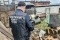 Дважды ударил и бросил на землю