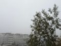 Густой туман и до +22°: погода в Якутске 30 августа